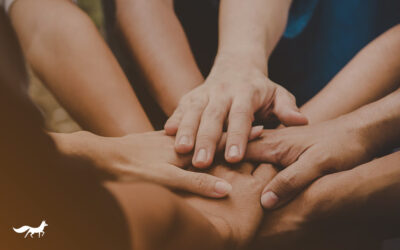 Xantens Zukunft sichern: Gemeinsam statt gegeneinander